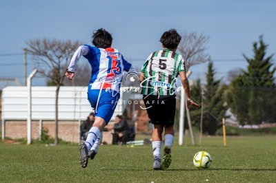 Fotografía