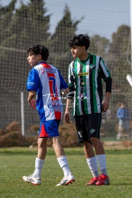 Fotografía